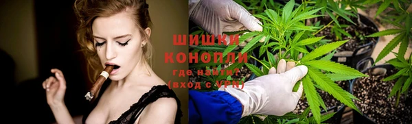 PSILOCYBIN Нязепетровск