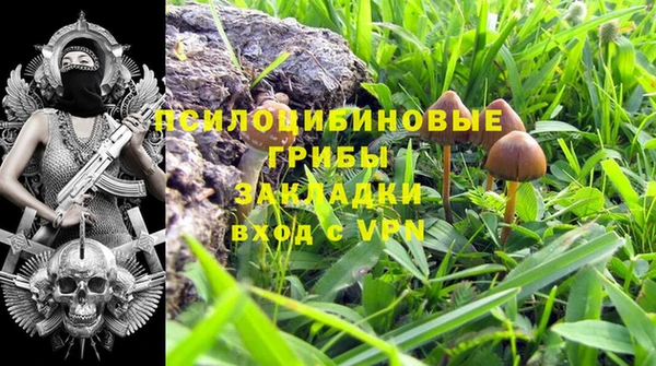 дживик Абаза